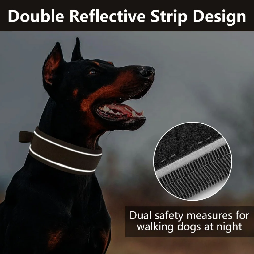 Heavy Duty Dog Collar