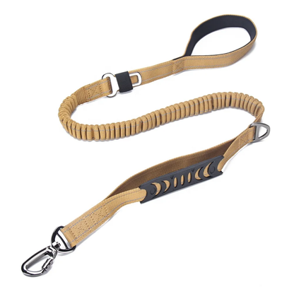 Elastic Bungee Dog Leash