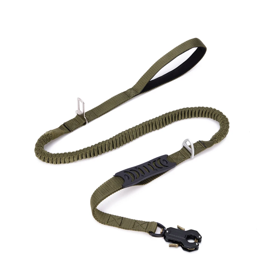 Elastic Bungee Dog Leash