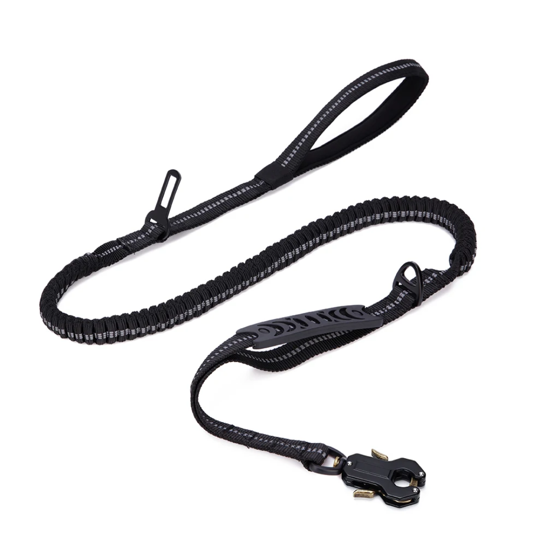 Elastic Bungee Dog Leash