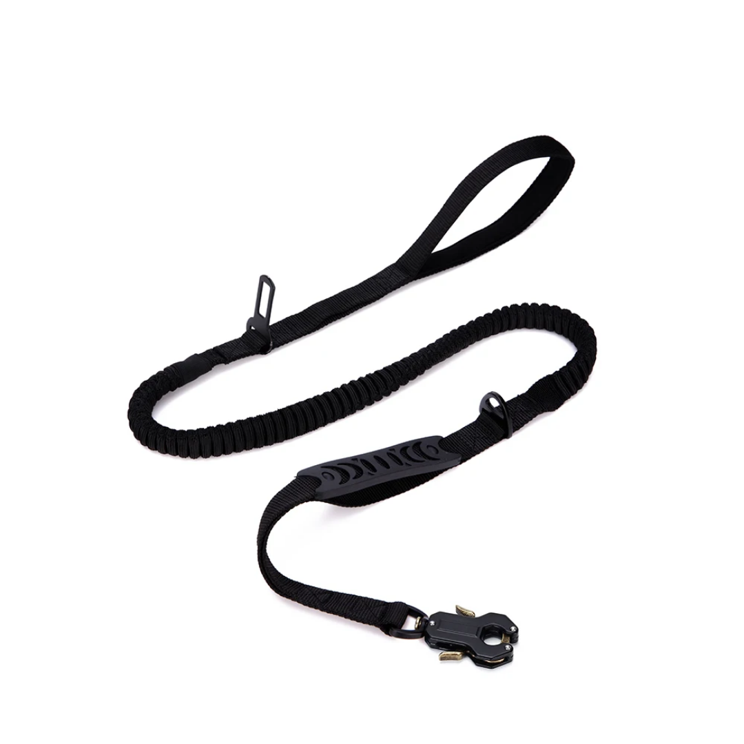 Elastic Bungee Dog Leash