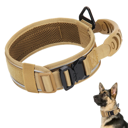 Heavy Duty Dog Collar