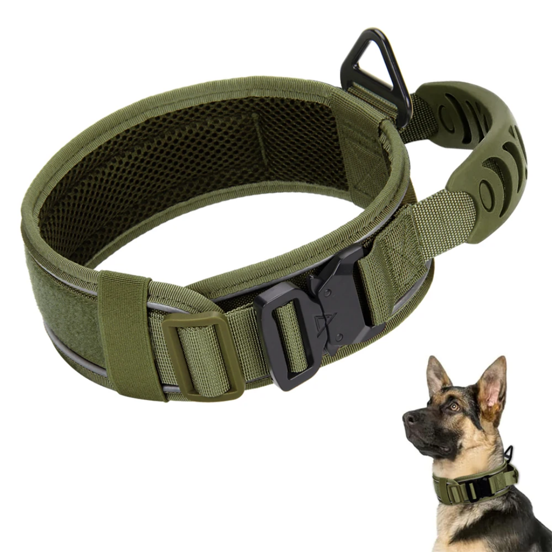 Heavy Duty Dog Collar